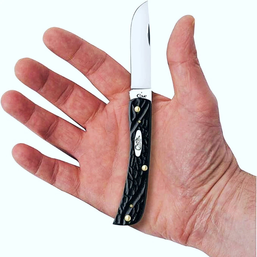 Case Pocket Knife